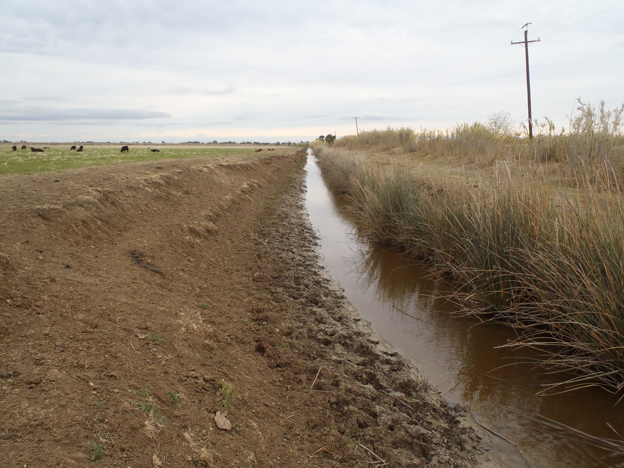 Tail Drain Ditch prior to revegetation, fall 2012.