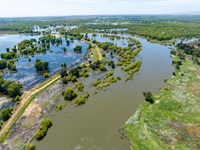 High river flows on the San Joaquin River at the San Joaquin River National Wildlife Refuge in Stanislaus County, California. Photo taken June 13, 2023.