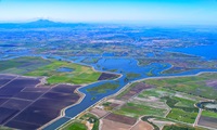Aerial view looking south west at Mandeville Island and on the left is Bacon Island, both part of the Sacramento-San Joaquin River Delta in San Joaquin County, California. Photo taken May 11, 2023.
