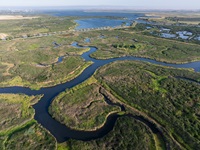A drone view of the Dutch Slough Tidal Marsh Restoration Project site, located in the Sacramento-San Joaquin Delta near Oakley, California. Photo taken June 6, 2025.