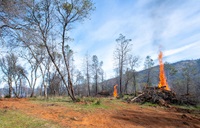 Fuel load management work, including controlled burns, is conducted by CalFire in conjunction with California Department of Water Resources at Loafer Creek State Recreation Area in Oroville, California. Photo taken March 2, 2022.