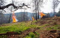 Fuel load management work, including controlled burns, is conducted by CalFire in conjunction with California Department of Water Resources at Loafer Creek State Recreation Area in Oroville, California. The work is part of the fuel load management program which reduces fire risk, protects public safety, and enhances forest and watershed health.