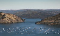 An aerial view shows high water conditions at the Bidwell Canyon Marina, Bidwell Bar Bridge can be seen in the background, located at Lake Oroville in Butte County, California. Photo taken May 20, 2025.
