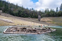 Driftwood is collected and towed in pods with boats throughout Lake Oroville in Butte County, California.