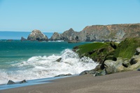 Goat Rock Beach