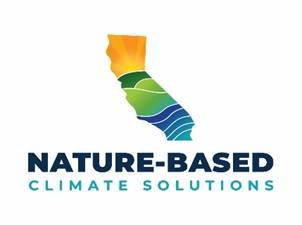Nature based Logo