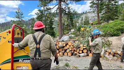 Wildfire Resilience