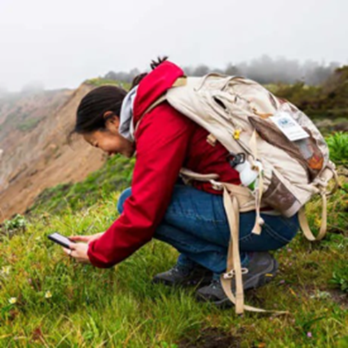  A hiker crouching on a grassy coastal cliff uses her smartphone to take a close-up photo of small wildflowers growing in the grass. She wears a red jacket, blue jeans, hiking boots, and a large beige backpack, with foggy hills rising in the background.