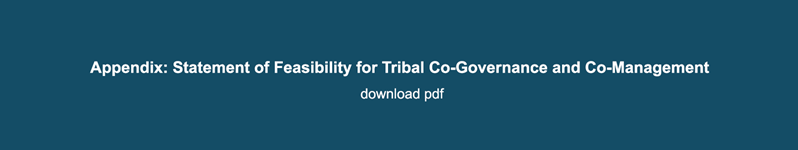Appendix Statement of Feasibility for Tribal Co Governance and Co Management Button