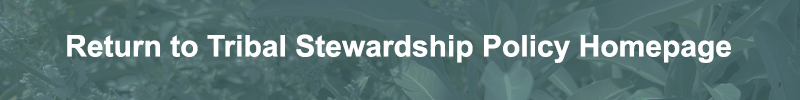 Return to the Tribal Stewardship Policy homepage