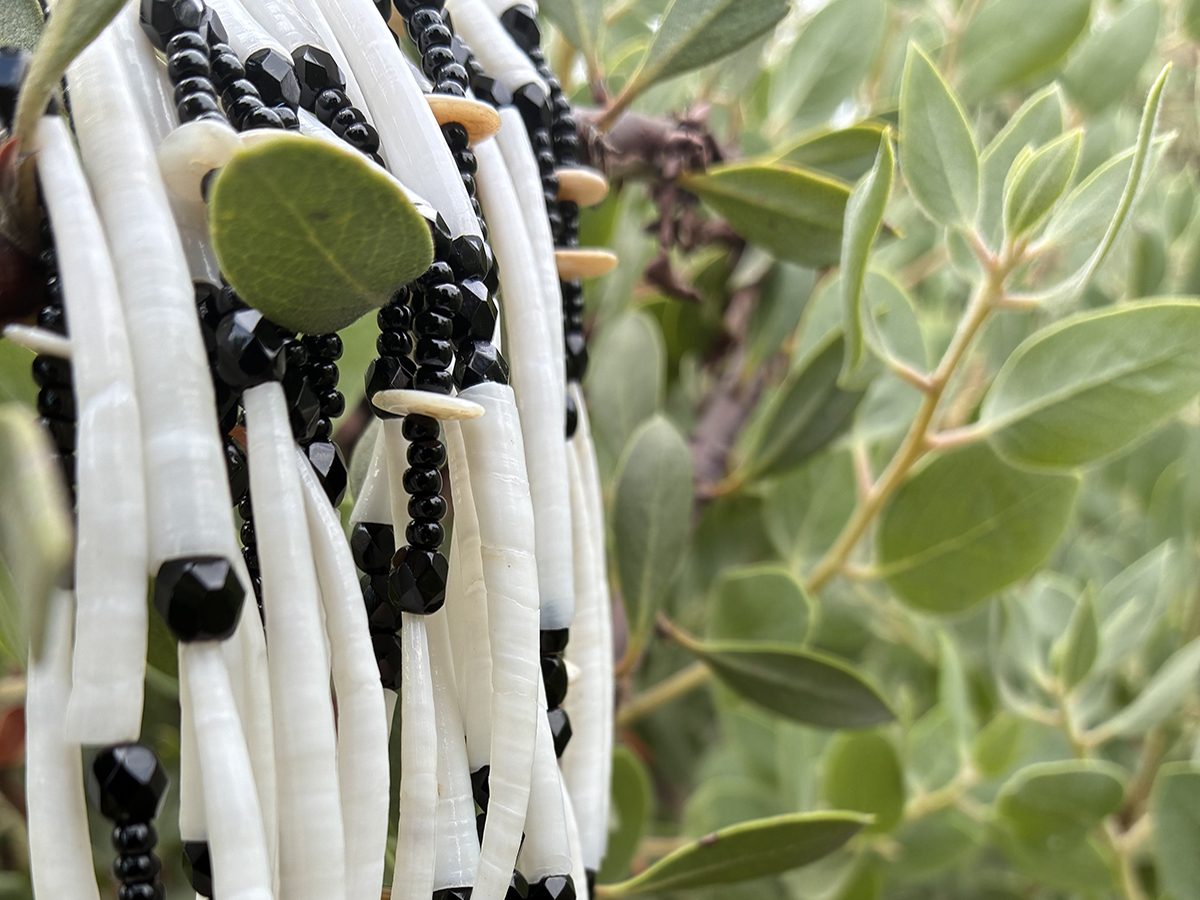 Close-up of a dentalium shell and black bead necklace draped over green shrub leaves.
