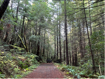 Natural Resources Agency Awards Environmental Enhancement and Mitigation Grants