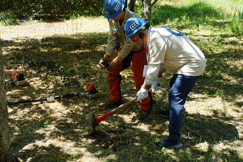 Two people using axes on the dirt, wearing CCC helmets.