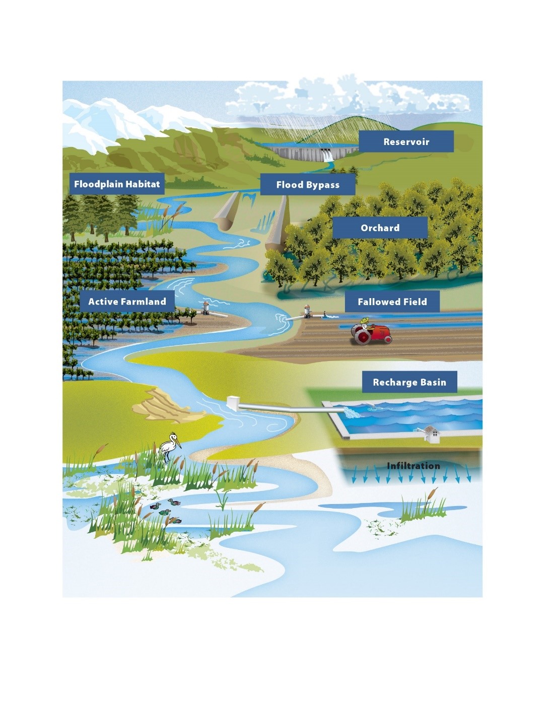 Flood - MAR illustrated concept of aquifer recharge.