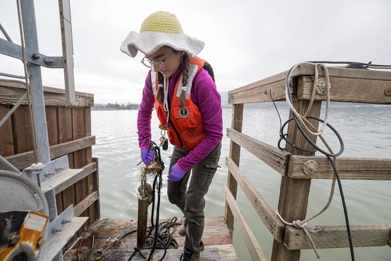 Amelia Ayers, a Physical Scientist with the U.S. Geological Survey, packs up gear used to gather shellfish samples collected at Martinez Harbor, Contra Costa County. The shrimp are tested for levels of toxins found in Harmful Algal Blooms (HABs).  The work is part of a five-year, $3 million grant for the Monitoring and Event Response for Harmful Algal Blooms (MERHAB) research program, a focused effort co-lead by DWR. A comprehensive and focused effort co-lead by DWR, MERHAB is focused on building an estuary-wide management strategy for HABs.  Xavier Mascareñas / California Department of Water Resources
