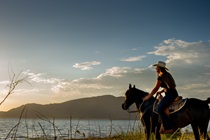 Horseback Rider at Lake Perris