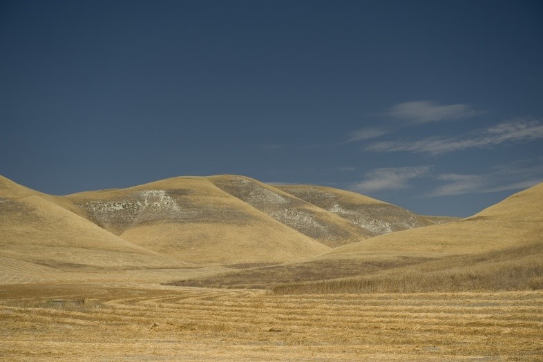 Dry hillsides near Kettleman City