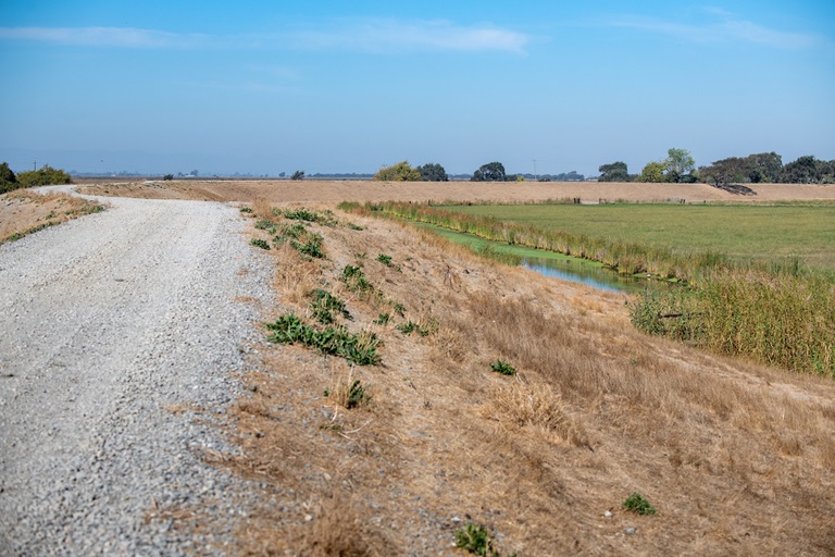 The habitat surrounding the future location of the Lookout Slough Tidal Restoration Project, located in the Cache Slough complex within the southern part of the Yolo Bypass in Solano County on October 13, 2020. 
