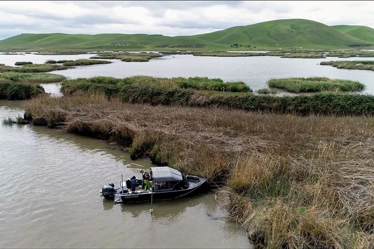 DWR researchers working on the Tidal Parr Cage Growth Study in the Suisun Marsh. 