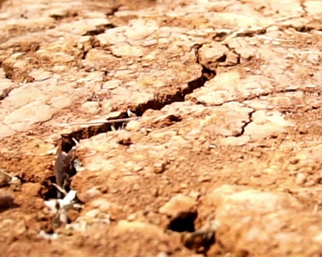 File footage of dried earth in California during drought conditions.