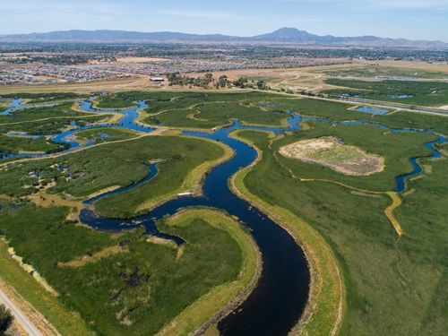 The Dutch Slough Tidal Marsh Restoration Project site, located in the Sacramento-San Joaquin Delta near Oakley, California.