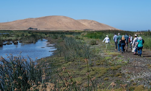 DWR celebrated a joint event in the Suisun Marsh in Solano County,  California were attendees were given a tour of the completed work at Arnold Slough. Bradmoor Island and Arnold Slough are two neighboring tidal habitat restoration projects that benefit endangered Delta Smelt and Longfin Smelt and support the long-term operation of the State Water Project, which provides water to 27 million Californians.  