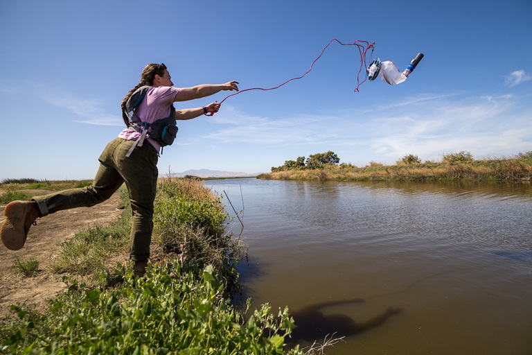 California Department of Water Resources Water Quality Scientist Vivian Klotz, with the Division of Integrated Science and Engineering, collects a water sample after conducting a sonde exchange at Meins Landing on Montezuma Slough in Suisun Marsh, Solano County. Sondes measure the water’s temperature, pH (acidic or basic level of hydrogen), dissolved oxygen (oxygen levels available to aquatic organisms), and turbidity (the clarity of water). 