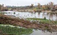 Mendonca Dairy property in Crows Landing, California, located next to the San Joaquin River.