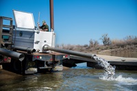The Feather River Fish Hatchery raises steelhead and releases them into the Feather River at Boyd’s Pump Boat Launch in Yuba City.