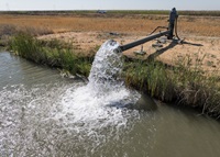 A drone view as groundwater pumping from production wells fill agricultural waterways to irrigate fields at Conaway Ranch in Yolo County, California. Photo taken August 5, 2024.