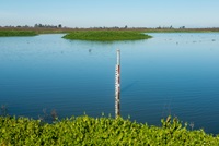 Groundwater recharge ponds are located on the grounds of the Stockton East Water District (SEWD)
