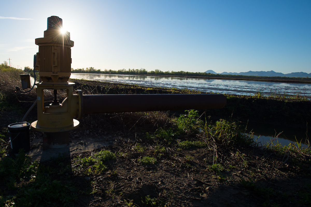 One of the wells used to measures the water depth at specific agricultural wells in Colusa County on March 17, 2016.