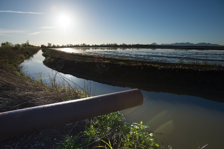 A location used to measures the water depth at specific agricultural wells in Colusa County  