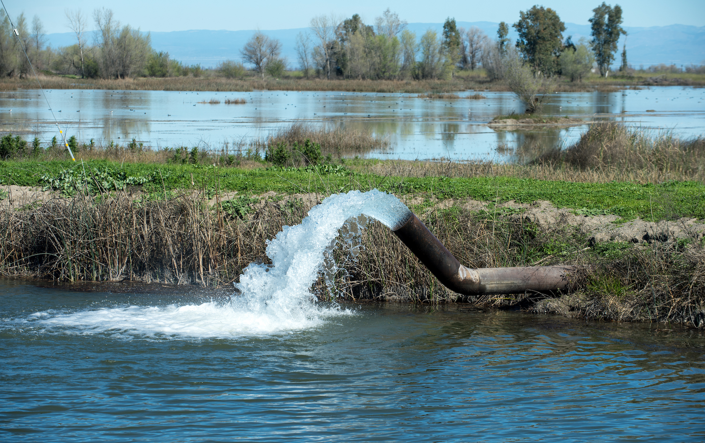 Gray Lodge Wildlife Area in Gridley has groundwater wells that are pumping water to flood fields and supply water for waterfowl. 