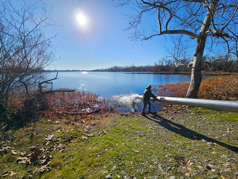 CDFW staff use a long pipe to plant steelhead trout in Mile Long Pond at the Oroville Wildlife Area. 