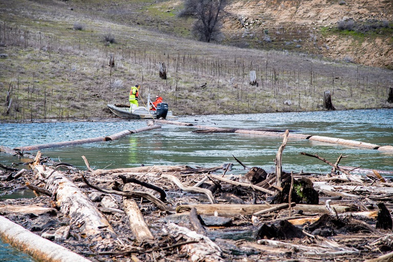 Driftwood is collected and towed in pods with boats throughout Lake Oroville in Butte County, California. Photo taken March 7, 2023.