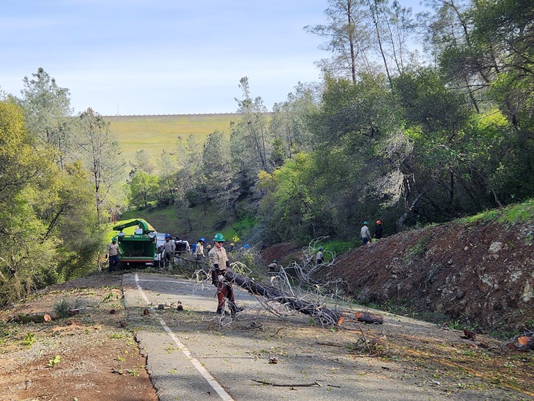 California Conservation Corps crews carry sections of cut trees to a green chipper. 