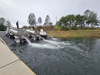CDFW staff stand on top of tanker trucks that are depositing Chinook salmon into Lake Oroville.