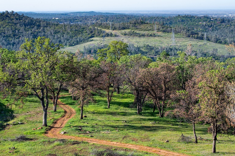 A morning view of Brad Freeman Trail located above the diversion pool in Oroville, California.