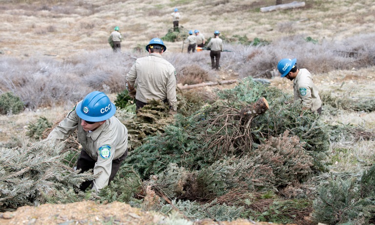 CCC crews anchor Christmas trees onto the shores of Lake Oroville.