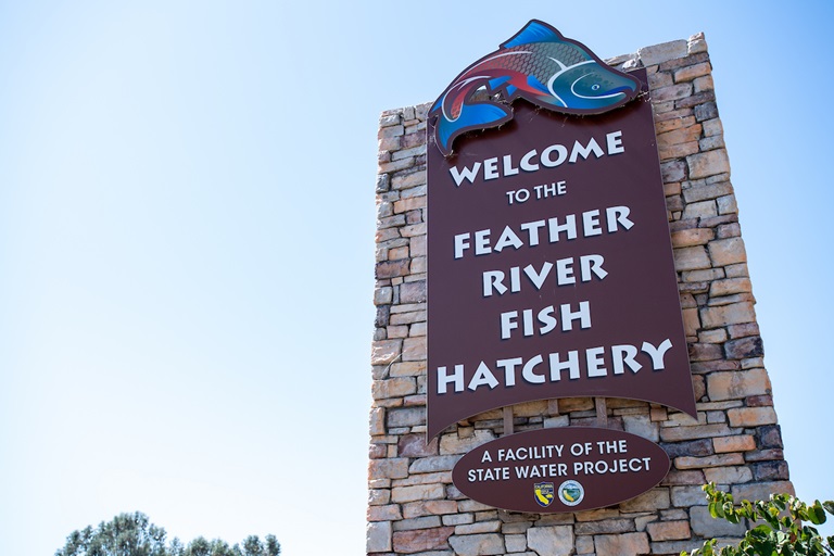 The Feather River Fish Hatchery in Oroville, California. Feather River Hatchery raises Chinook salmon and steelhead along the Feather River, just below Lake Oroville. Photo taken August 07, 2019.