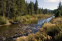 A view along the Truckee River between Interstate 80 and Olympic Valley, California within Placer County.