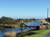 Lookout slough 