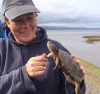 Veronica Wunderlich, DWR senior environmental scientist, with turtle
