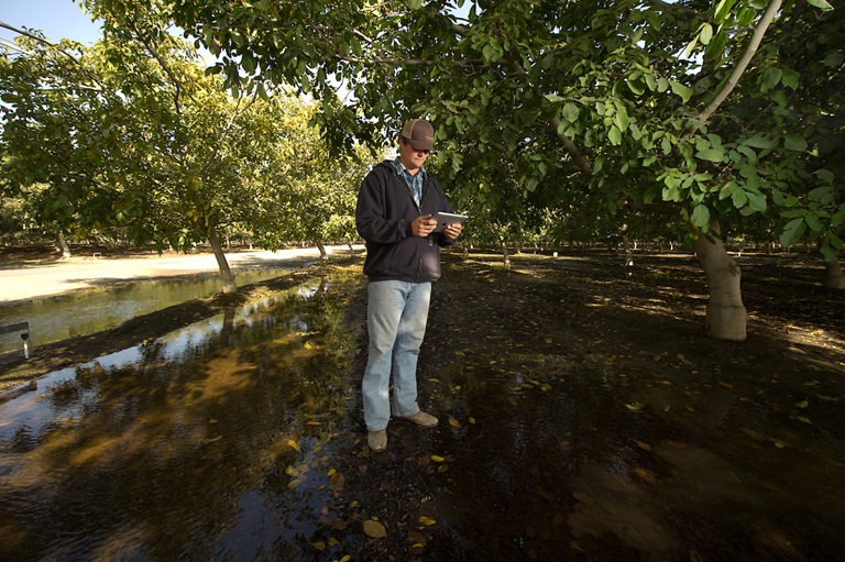 A man monitors and controls water levels on his farm in Hanford. 