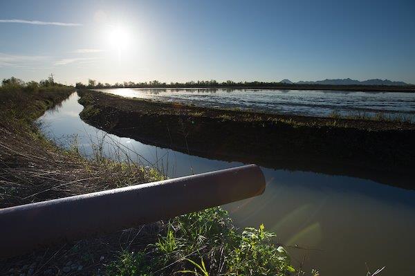 One location used to measures the water depth at specific agricultural wells in Colusa County on March 17, 2016. 