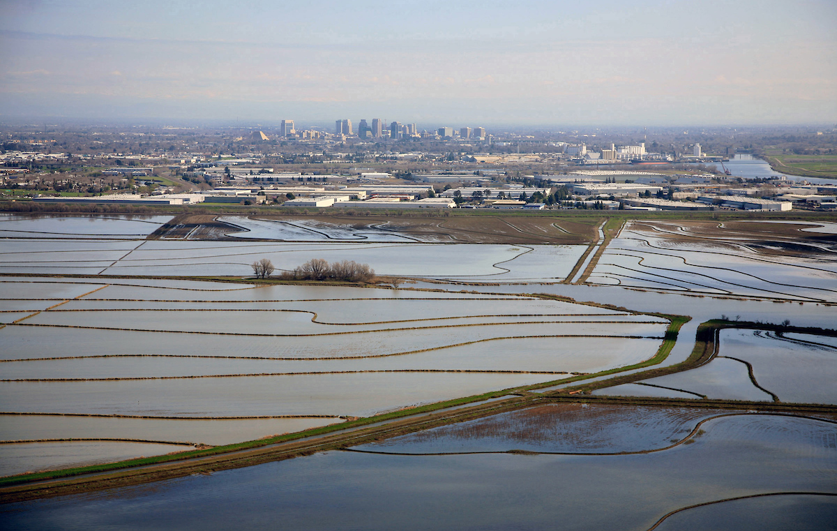 Yolo Bypass and Vic Frazio Wildlife Area, looking toward downtown Sacramento. DWR/2016