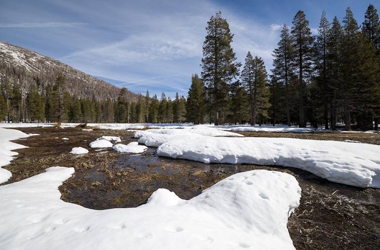 Snow blankets the meadow where DWR prepares to conduct the third media snow survey of the 2026 season at Phillips Station in the Sierra Nevada. Photo taken February 27, 2026.