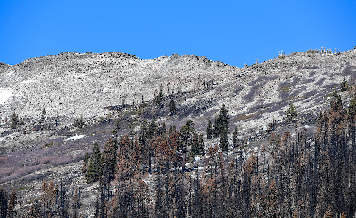 Nearby mountain peaks with only small patches of snow near the Phillips Station meadow, shown shortly before the California Department of Water Resources conducted the forth media snow survey of the 2022 season at Phillips Station in the Sierra Nevada Mountains. 
