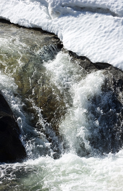 Snow runoff in a Sierra Nevada mountain stream in Placer County.